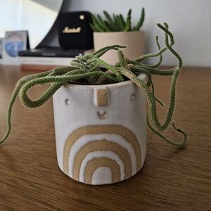 atelier stella rainbow face boho hippie ceramic clay art plant planter pottery